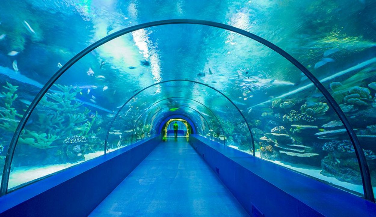 Antalya Aquarium - Face2Face Ticket with Hotel Transfers